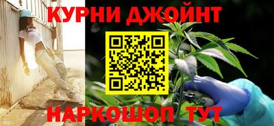 гидра Бузулук